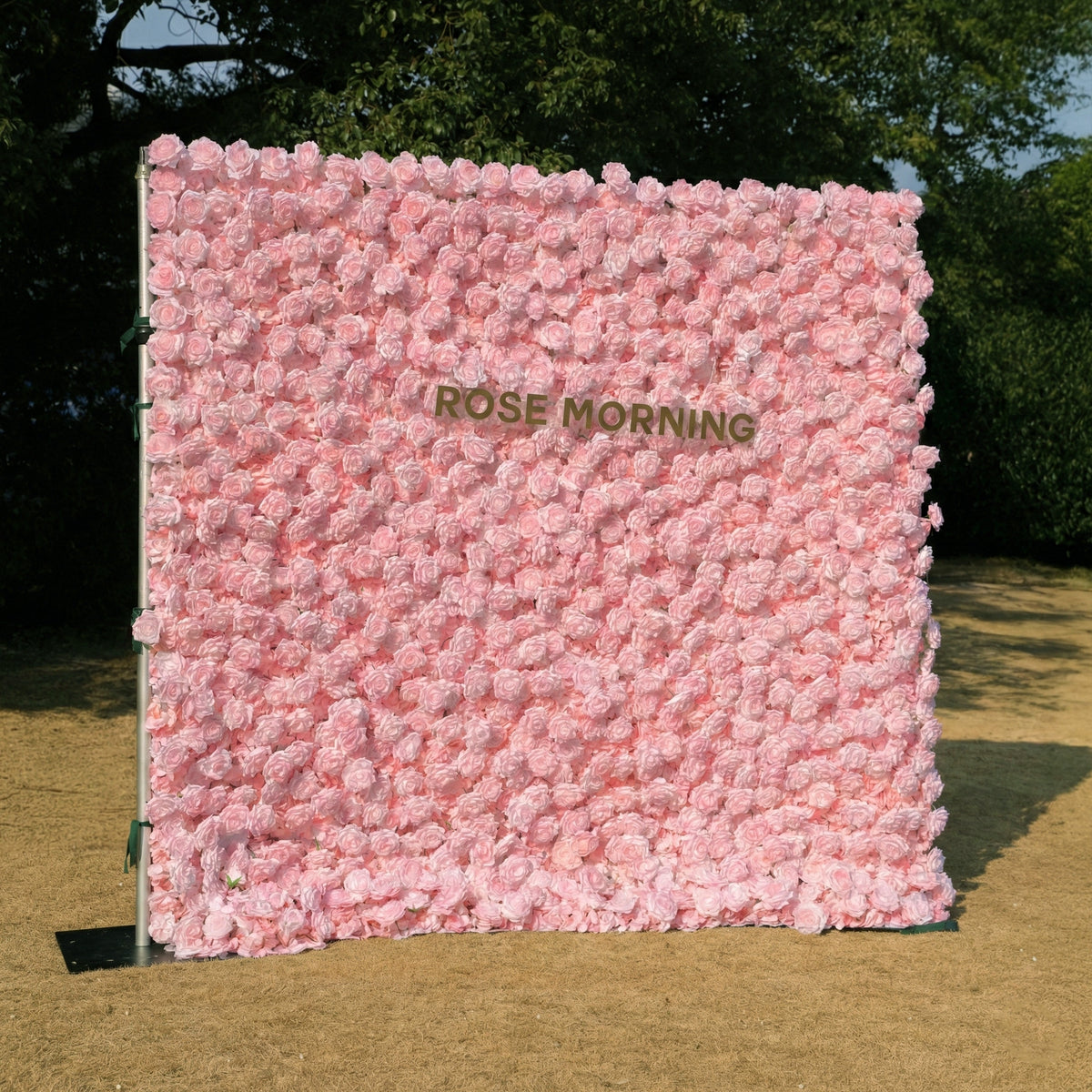 Hadas | 2026 New Launch Sun-Activated Color-Changing Rose Flower Wall Backdrop (8×8) — One Wall, Two Looks: White Indoors → Blush Pink in Sunlight | Shipping Included