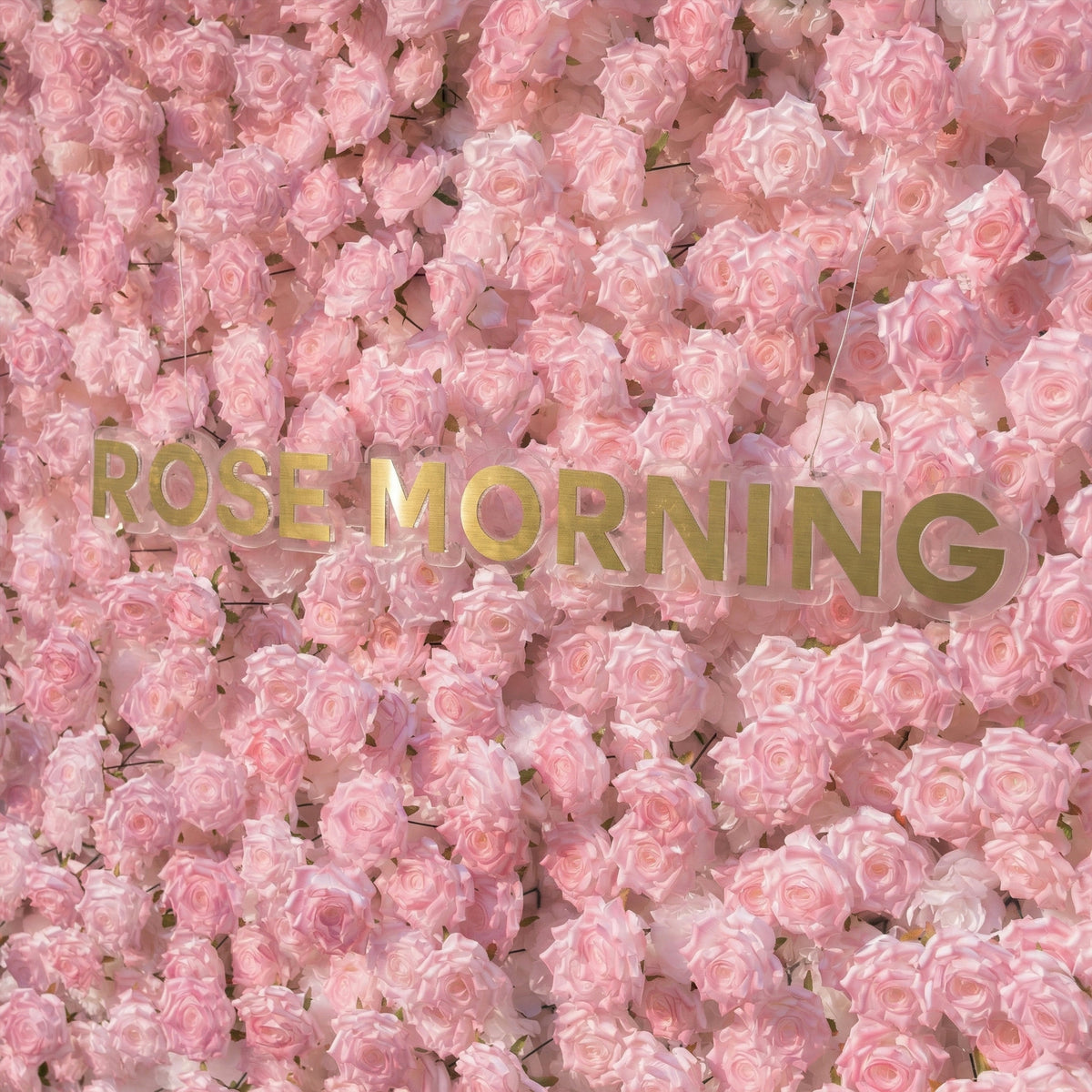 Hadas | 2026 New Launch Sun-Activated Color-Changing Rose Flower Wall Backdrop (8×8) — One Wall, Two Looks: White Indoors → Blush Pink in Sunlight | Shipping Included