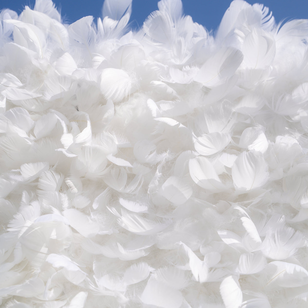 Hilton | Pure White Feather Flower Wall - 5D Fabric Backdrop for Wedding Birthday Party Event Decoration | Shipping Included