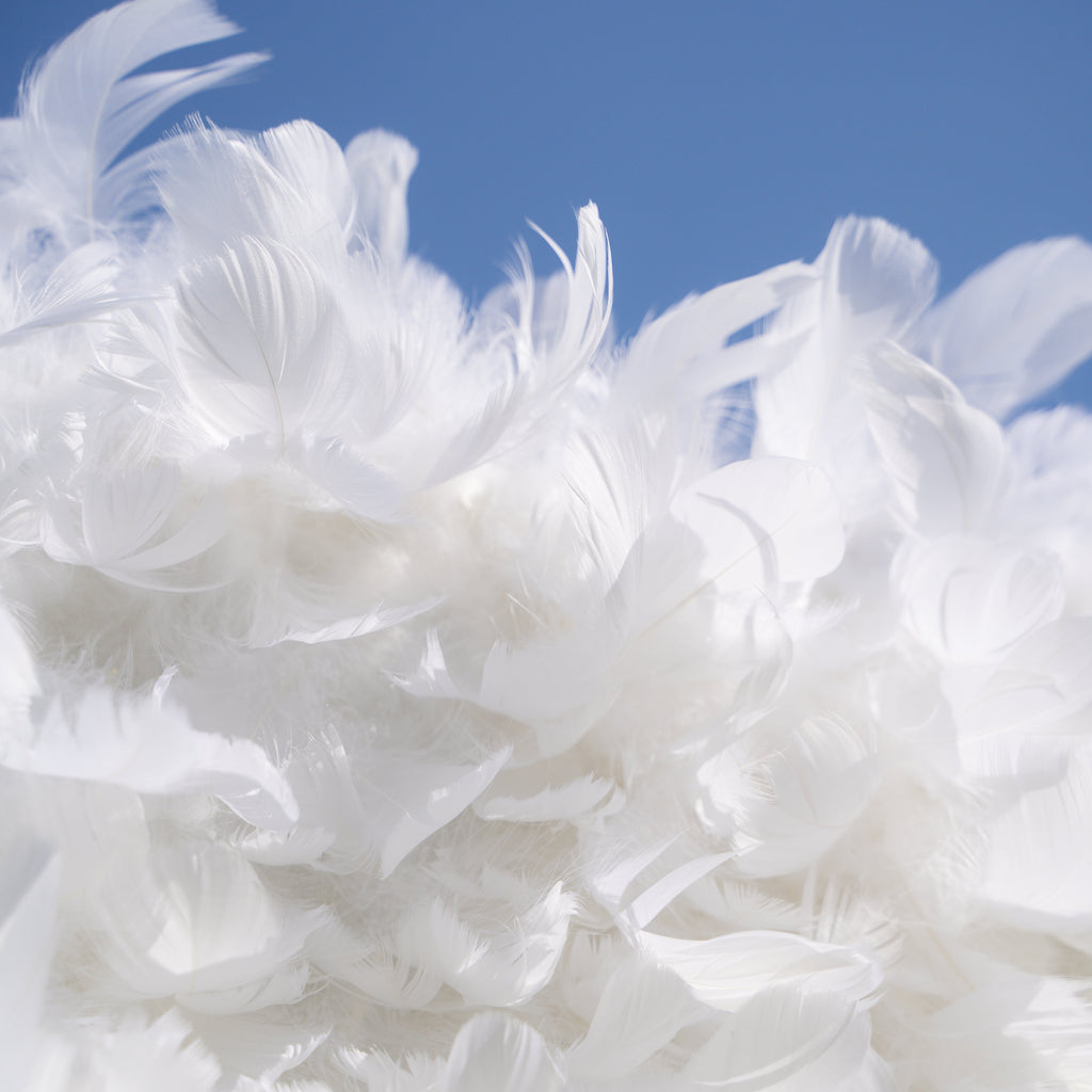 Hilton | Pure White Feather Flower Wall - 5D Fabric Backdrop for Wedding Birthday Party Event Decoration | Shipping Included