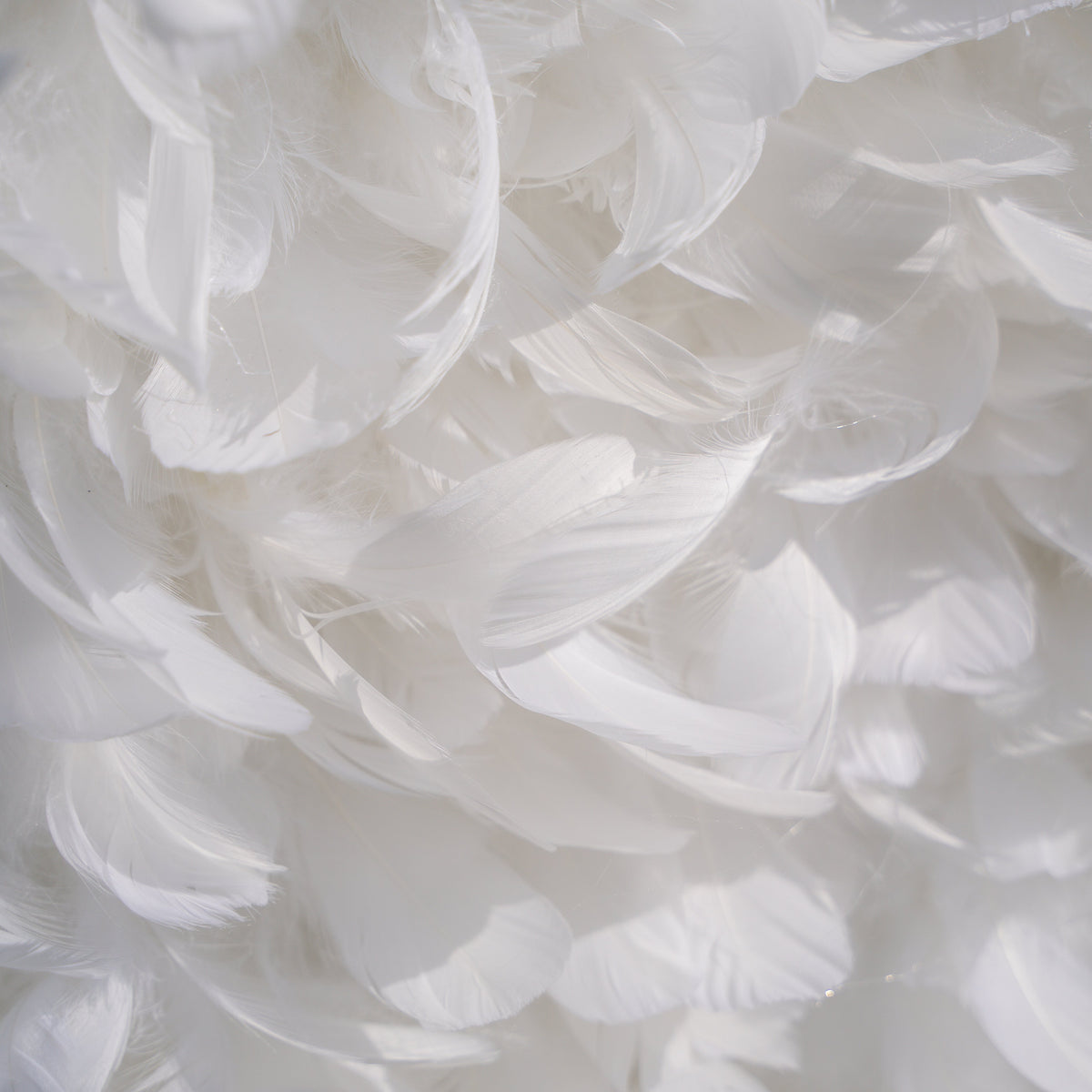 Hilton | Pure White Feather Flower Wall - 5D Fabric Backdrop for Wedding Birthday Party Event Decoration | Shipping Included
