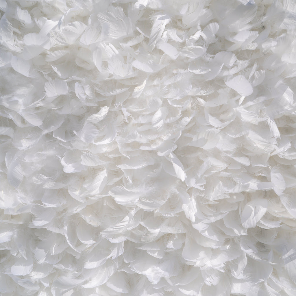 Hilton | Pure White Feather Flower Wall - 5D Fabric Backdrop for Wedding Birthday Party Event Decoration | Shipping Included