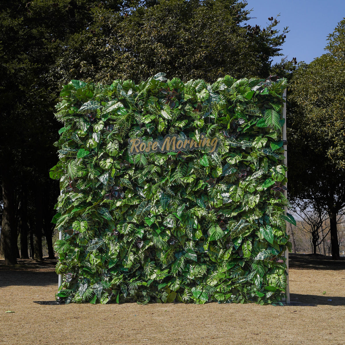 Rose Morning“The flower walls are made of artificial flowers in various colors, layered at different levels to create a lush, elegant and natural look. The exclusive zipper design and roll-up design make it easy to install and remove.”