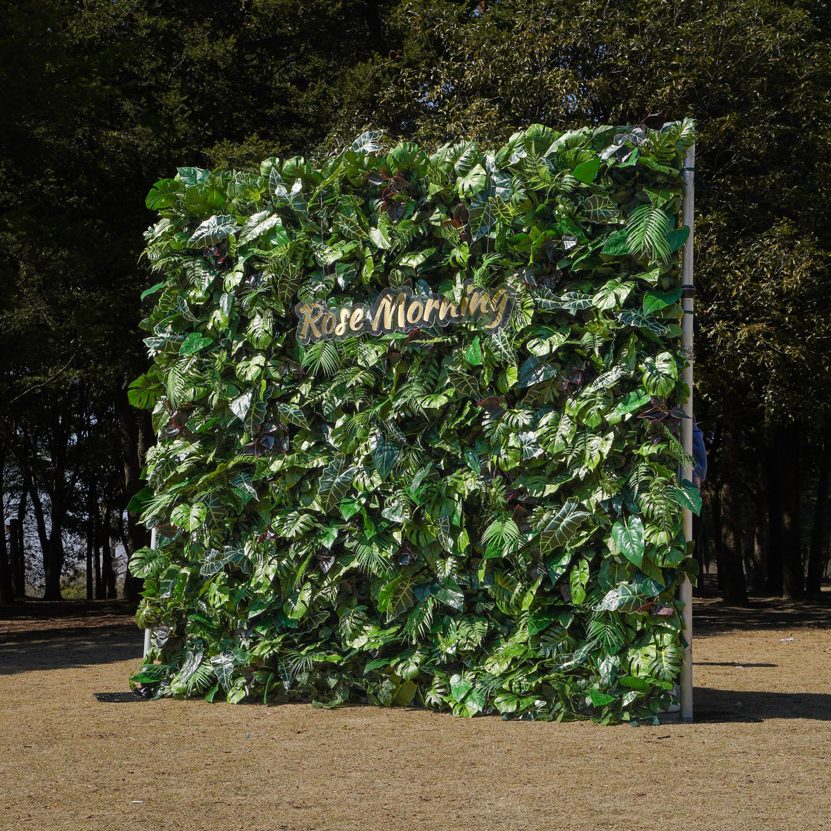 Rose Morning“The flower walls are made of artificial flowers in various colors, layered at different levels to create a lush, elegant and natural look. The exclusive zipper design and roll-up design make it easy to install and remove.”