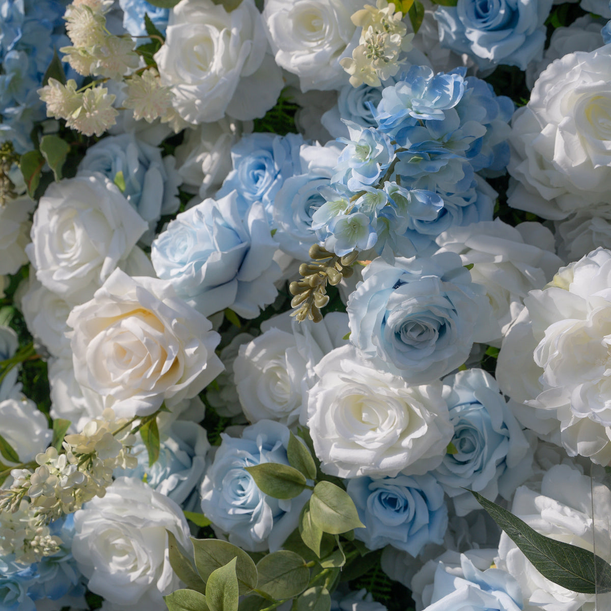 Loira | Limited Custom Release Blue–white gradient Photogenic Full-bloom texture 8ft*8ft | Shipping Included
