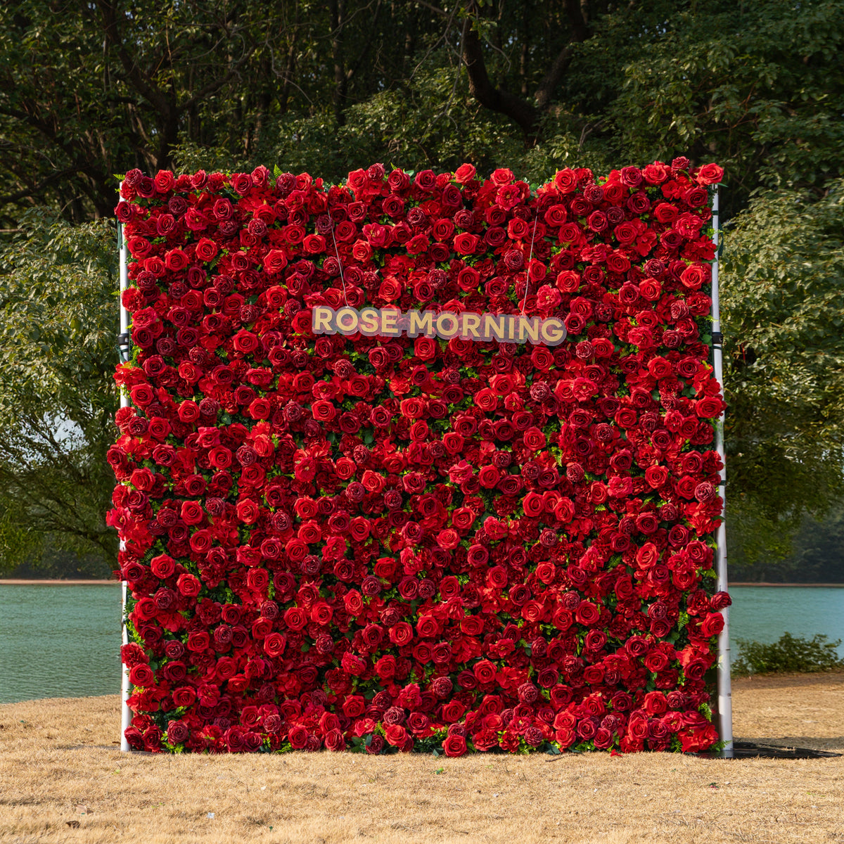 Valentine’s Special | The Luna Package of Dreamy Flower Wall & Arch for the Perfect Proposal&Wedding | Shipping Included