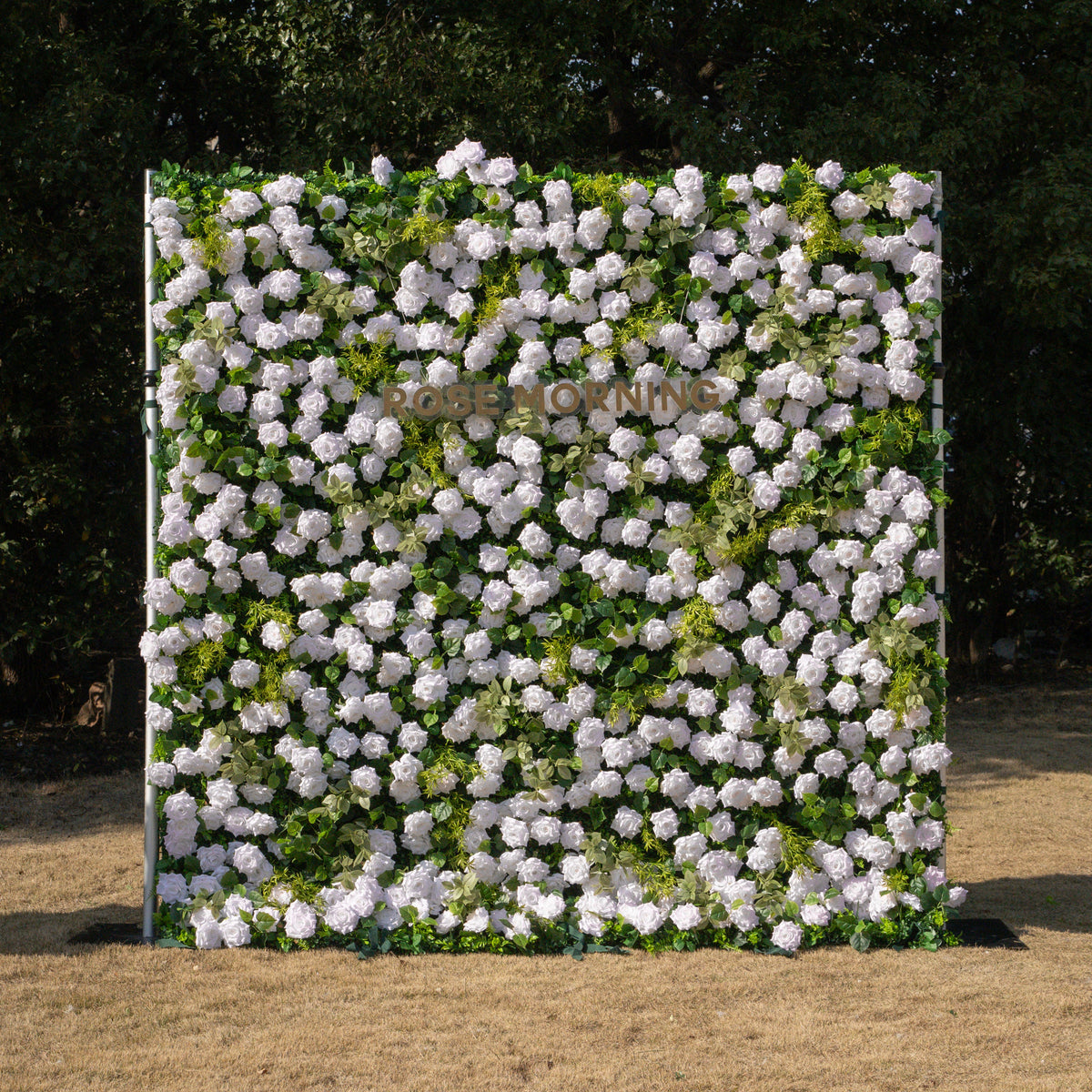Magica | 2026 New Launch-Sun-Activated Color-Changing Rose Flower Wall Backdrop (8×8) — One Wall, Two Looks: White Indoors → Blush Pink in Sunlight | Shipping Included