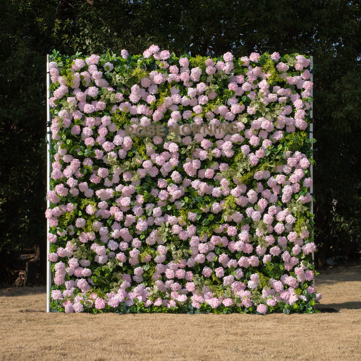 Magica | 2026 New Launch-Sun-Activated Color-Changing Rose Flower Wall Backdrop (8×8) — One Wall, Two Looks: White Indoors → Blush Pink in Sunlight | Shipping Included