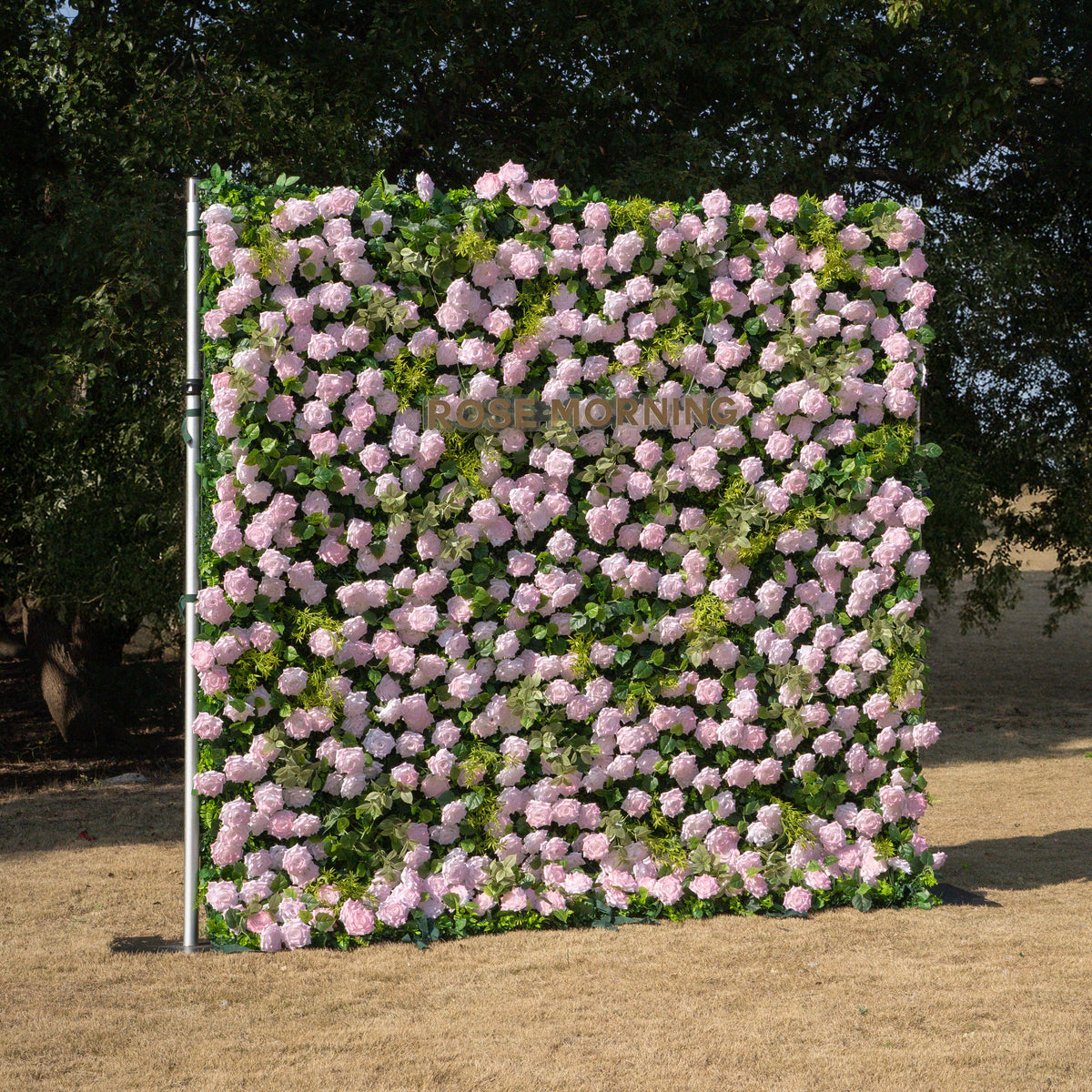 Magica | 2026 New Launch-Sun-Activated Color-Changing Rose Flower Wall Backdrop (8×8) — One Wall, Two Looks: White Indoors → Blush Pink in Sunlight | Shipping Included