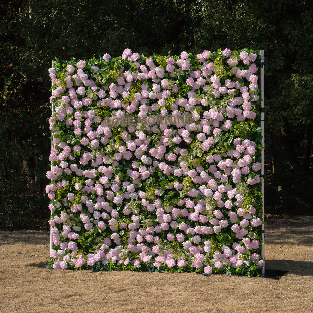 Magica | 2026 New Launch-Sun-Activated Color-Changing Rose Flower Wall Backdrop (8×8) — One Wall, Two Looks: White Indoors → Blush Pink in Sunlight | Shipping Included