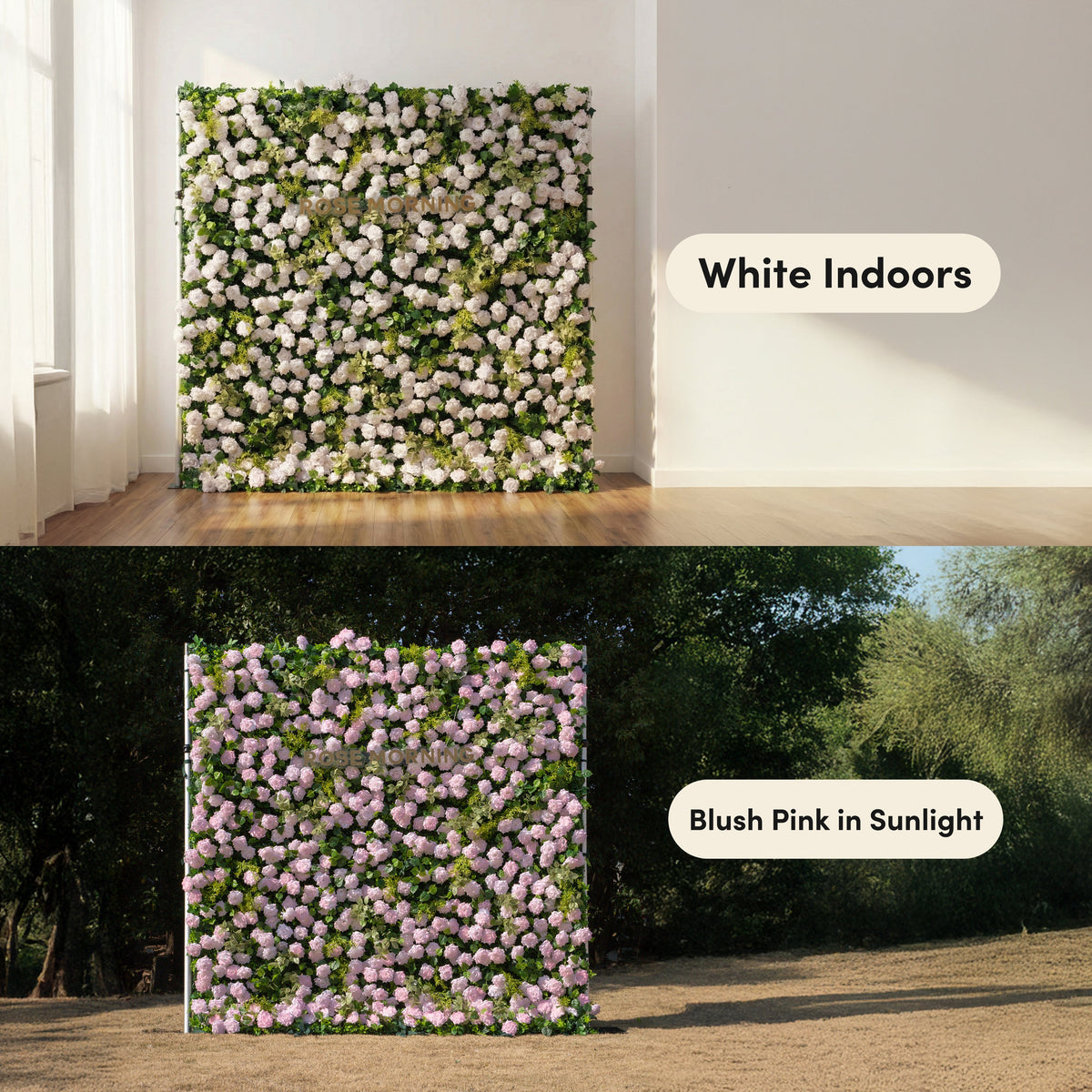 Magica | 2026 New Launch-Sun-Activated Color-Changing Rose Flower Wall Backdrop (8×8) — One Wall, Two Looks: White Indoors → Blush Pink in Sunlight | Shipping Included