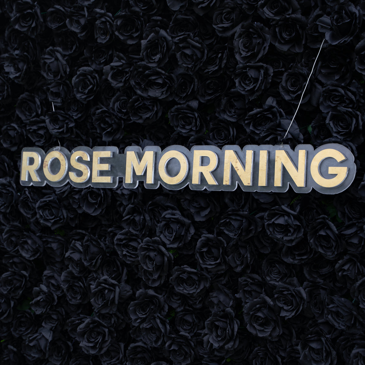 Max | 5D Event-Ready Artificial Floral Wall Backdrop, Roll-Up Fabric | Shipping Included
