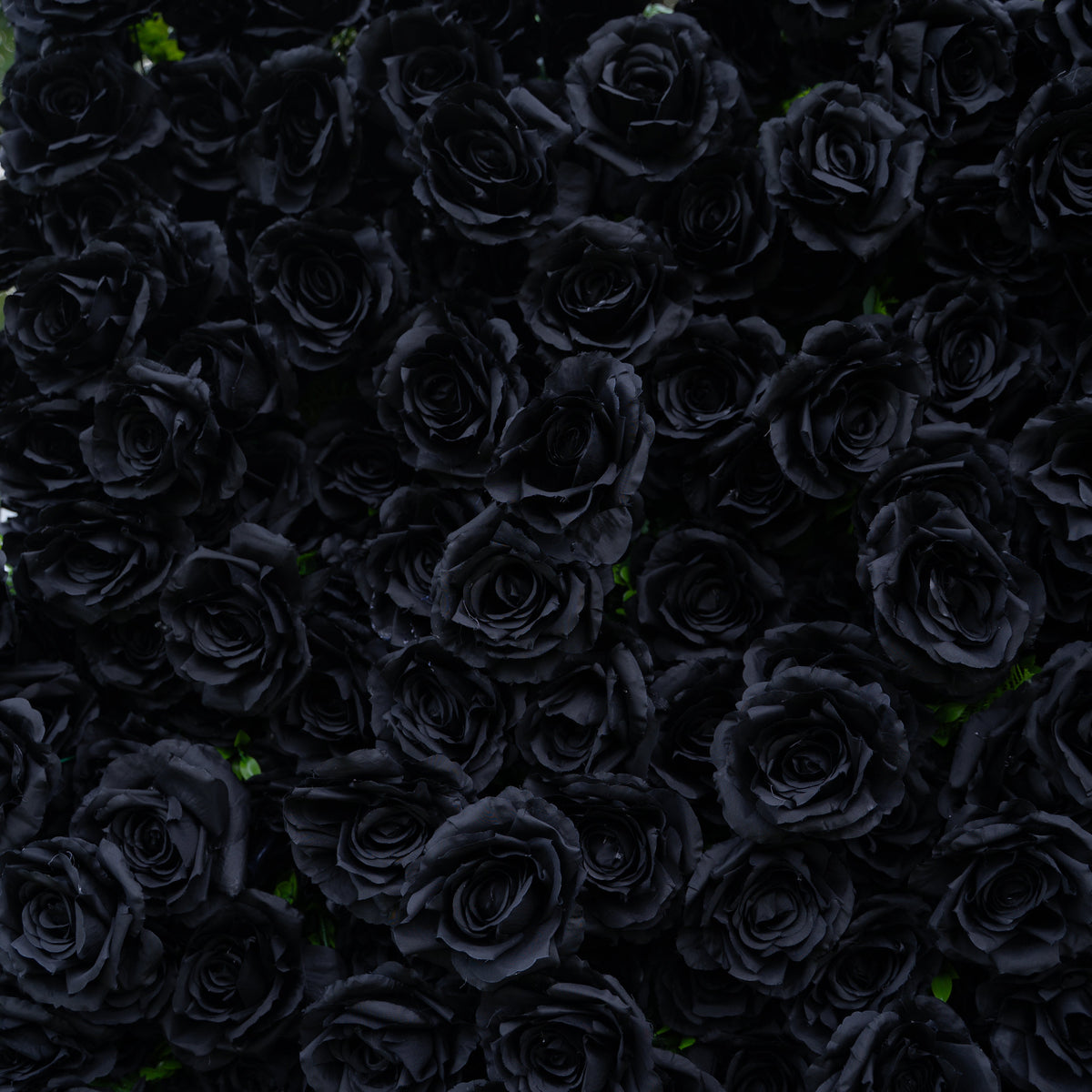 Max | 5D Event-Ready Artificial Floral Wall Backdrop, Roll-Up Fabric | Shipping Included