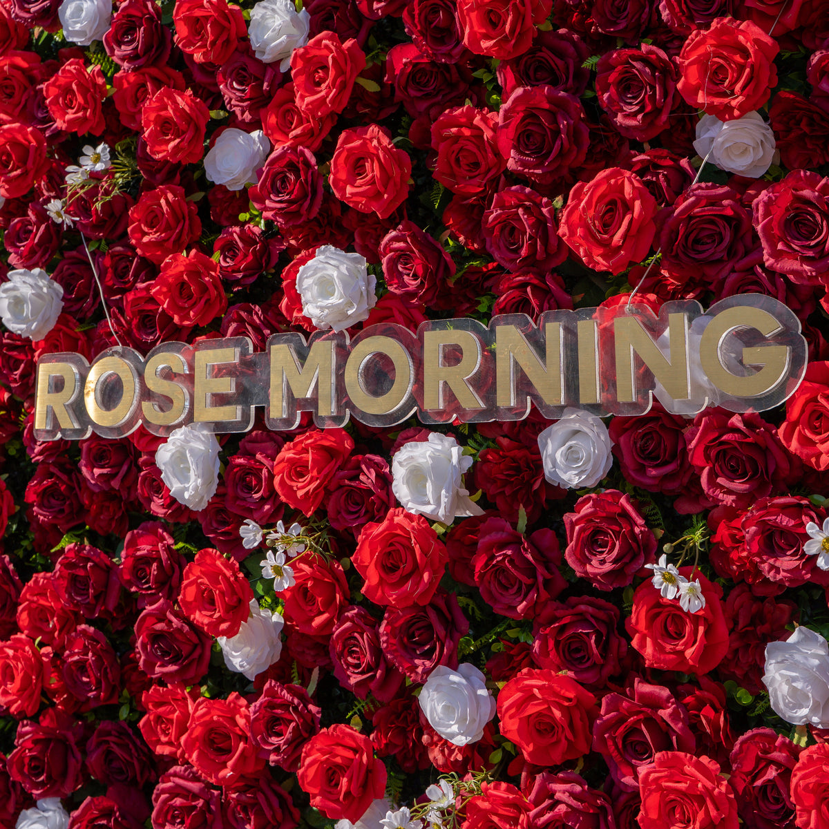 Meraki | 3D Luxury Crimson Red & White Event-Ready Silk Floral Wall Backdrop for Grand Weddings & Valentine’s Events | Shipping Included
