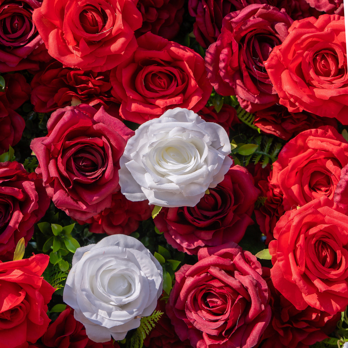 Meraki | 3D Luxury Crimson Red & White Event-Ready Silk Floral Wall Backdrop for Grand Weddings & Valentine’s Events | Shipping Included