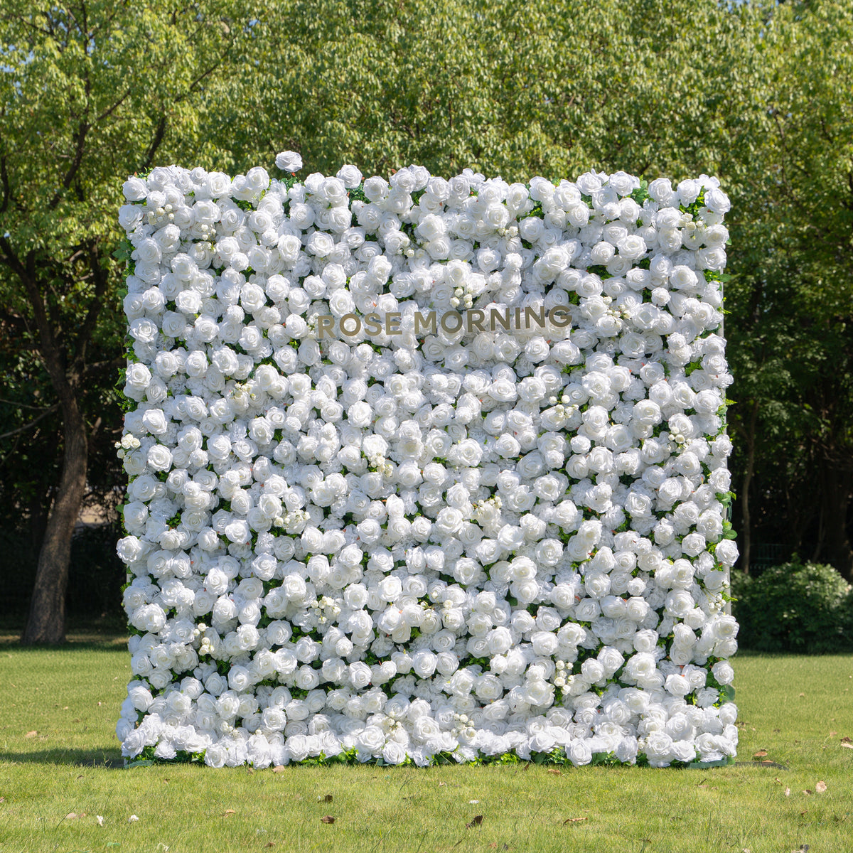 Shy | 3D White Flower Wall - Minimalist Wedding Backdrop 8ft×8ft(In US Stock 7-10 Days) | Shipping Included