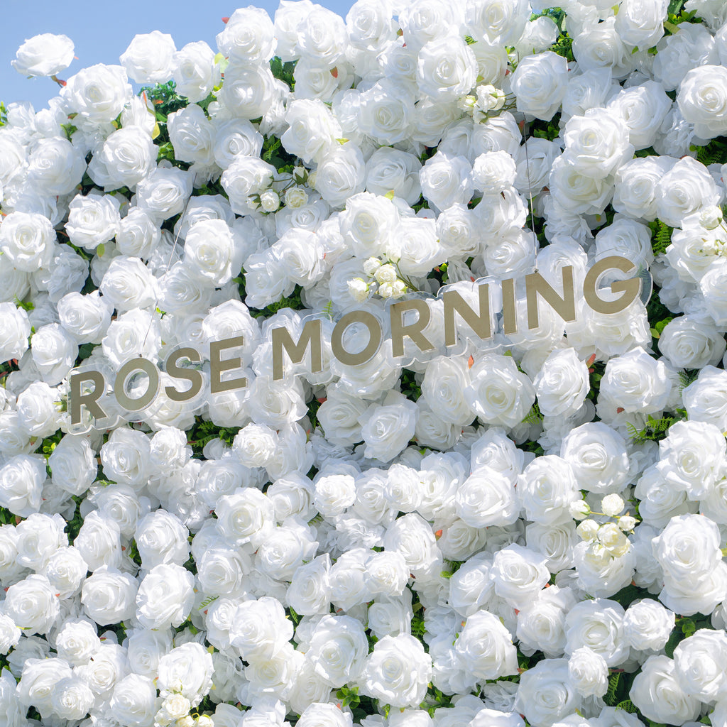 Shy | 3D White Flower Wall - Minimalist Wedding Backdrop 8ft×8ft(In US Stock 7-10 Days) | Shipping Included