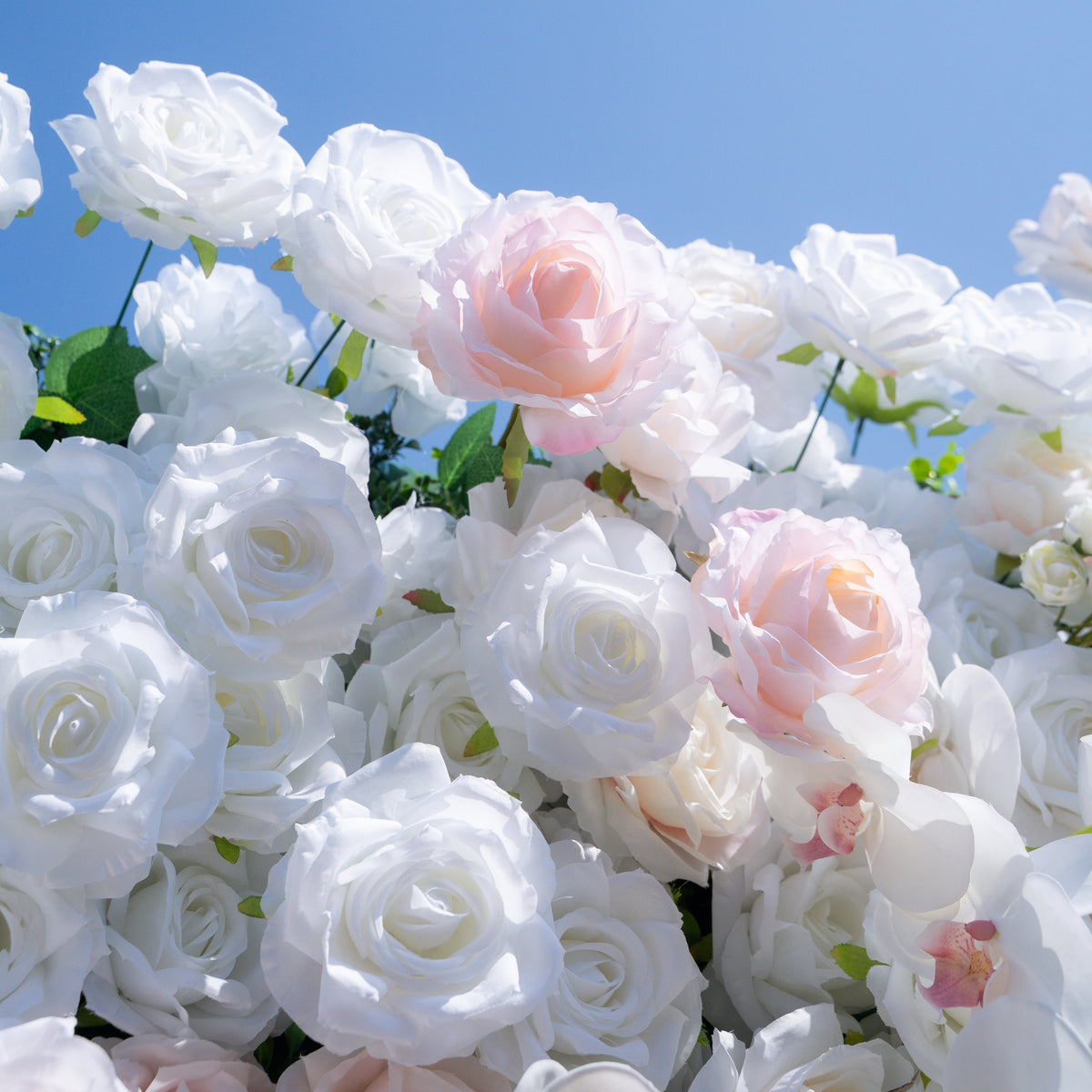 Tiara | 5D Event-Ready Artificial Floral Wall Backdrop, Roll-Up Fabric | Shipping Included